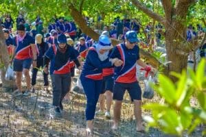 Bourbon Offshore Eco Olympics Mangrove Planting 1